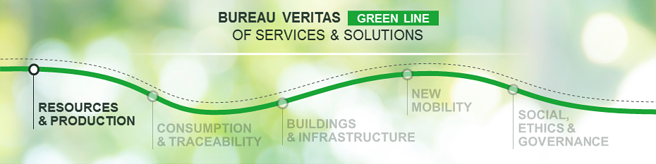 BV Green line Resources EN